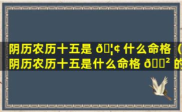 阴历农历十五是 🦢 什么命格（阴历农历十五是什么命格 🌲 的）